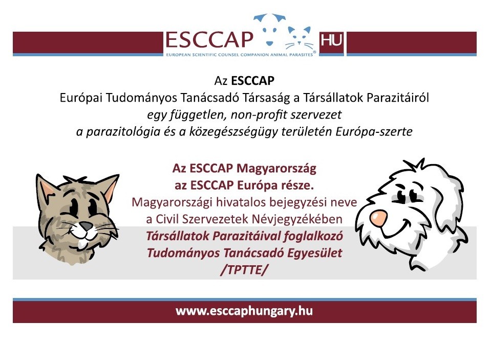 Az ESCCAP Magyarorsz&aacute;g az ESCCAP Eur&oacute;pa r&eacute;sze